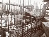 Byggandet av Älvkarleby kraftverk, omkring 1906 (enligt text i album).
