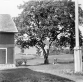 Hedemora. Garpenberg. Sövringsbo. Lönn och sjö vid Nerigårds. 1929-1930.