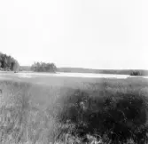 Hedemora. Garpenberg. Rafshyttan. Dormsjön. 1929-1930.