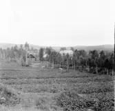 Hedemora. Garpenberg. Dormsjögård. Kontor t.h. Mek. verkstad. 1929-1930.
