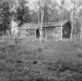 Hedemora. Garpenberg. Gammelgården. Logård förr skvalta fd. loge från Högtjärn. 1929-1930.