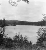 Hedemora. Garpenberg. Botbenning. Dammsjön mellan Stålbo och Botbenning. 1929-1930.