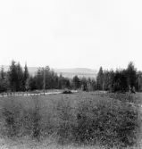 Hedemora. Garpenberg. Olshyttan. Hedemorastaden från Olshyttan. 1929-1930.