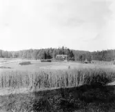 Hedemora. Garpenberg. Vestlings. Höjen Häggs Andersson. 1929-1930.