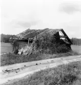 Hedemora. Garpenberg. Jönviken. Tallbacken, fänrik, där låg Ollas gård. 1929-1930.