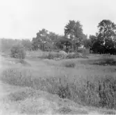 Hedemora. Garpenberg. Bensåsen. Lyséns, fd. Kosös. Källarstuga med torkved och spåntäkt förtak. 1929-1930.