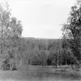 Hedemora. Garpenberg. Högtjärn. Från Arderbacken, Trollberget i bakgrunden. 1929-1930.