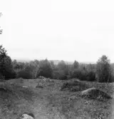 Hedemora. Garpenberg. Högtjärn. Högtjärnsklack i bakgrunden. 1929-1930.