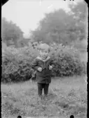 Gosse
