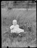 En liten en