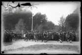 Inmarsch av 