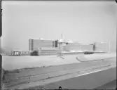 Modell av Universitetssjukhus i Maracaibo, Venezuela