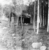 Hedemora. Garpenberg. Limasgårdens smedja. 1929-1930.
