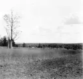 Hedemora. Garpenberg. Ljusfallet, utsikt mot byn. 1929-1930.