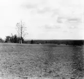 Hedemora. Garpenberg. Ljusfallet från Andersmans. 1929-1930.