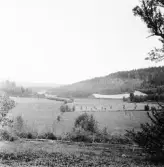 Hedemora. Garpenberg. Dalen vid Husby rå från Tillberga.1929-1930.