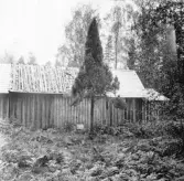 Hedemora. Garpenberg. Rutbo. Lindbergs ladugård med trädformen. 1929-1930.