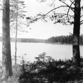 Hedemora. Garpenberg. Pålsbenningssjön. 1929-1930.