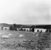 Hedemora. Garpenberg. Jelken från Matses, sjön Jelken i bakgrunden. 1929-1930.