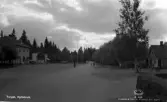 Vykort, 