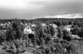 Villabebyggelse längs Nissastigen i trädrik miljö.