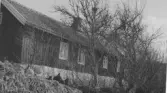 Gård (Hylterös?) i Vallda socken. Bostadshus med gödselstack i förgrunden där höns håller till. Träd och buskar står tätt inpå fasaden.