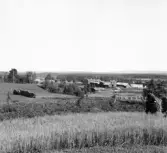 Malung. Västra Fors. Liskhea. Älven t.h. om gården.

