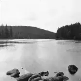 Malung. Västerdalälven och Kvillberget vid Lugnet.

