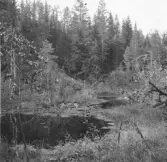 Malung. Kvarnberget. Stöten.

