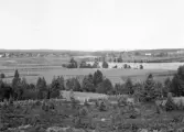 Malung. Västra Fors. Perjonstjärn och älven bortom.


