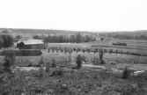 Malung. Västra Fors. Från Vitmosseholn åt SÖ.

