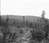 Malung. Bjäs Myckelbergs klack.

