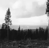 Malung. Kvarnberget. Malungsbygden från Väton.

