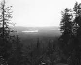 Malung. Tynger och Hättsjön från Öjsberget.

