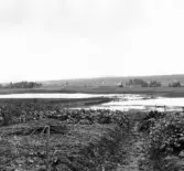Malung. Myckelbyn. Bölsbyn och Middagsberget.

