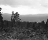 Malung. Kvarnberget. V. Utsjö, Valsjön och älven.

