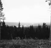 Malung. Kvarnberget. Malungsslätten och älven.

