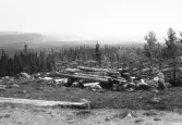 Malung. Hålia fäbod åt S.Ö. Tyngen, Storsjön m.m.

