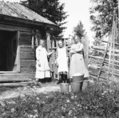 Malung. Hålia fäbod, Sälikollor? vid Hålia, Stina, Brita och Betty.


