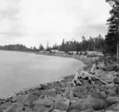 Malung. Nisterlingen. Båthus.

