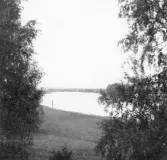 Malung. Utsjö, västra, älven och kyrkan från Ulvbacken.

