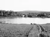 Malung. Vallros. Soppristjärn, Kölsjön.


