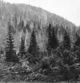 Malung. Öje kapellag. Lyberget.

