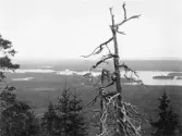 Malung. Öje kapellag. Öjen. Norra delen av Öjen.

