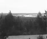 Malung. Öje kapellag. Öjen från landsvägen, Öjebyn t.v.


