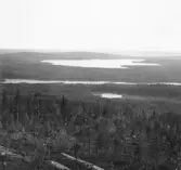 Malung. Tyngsjö kapellag. Tyngsjö och Grundrämen.


