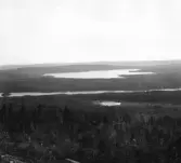 Malung. Tyngsjö kapellag. Tyngsjö och Grundrämen.

