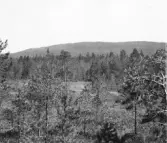 Malung. Tyngsjö kapellag. Sorsansberget från V.

