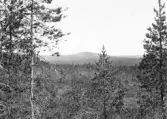 Malung. Tyngsjö kapellag. Lilla Svedberget.

