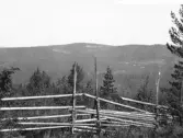 Malung. Tyngsjö kapellag. Stora Svedberget.

